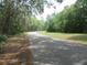Street view showcasing the natural beauty of the surrounding trees and foliage at 5949 Se 164Th Ct, Ocklawaha, FL 32179