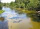 Scenic water view with lush green surroundings and clear, shallow water, showcasing the natural beauty at 5949 Se 164Th Ct, Ocklawaha, FL 32179