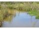 Picturesque stream with calm waters surrounded by tall grasses and vibrant aquatic plants at 5949 Se 164Th Ct, Ocklawaha, FL 32179