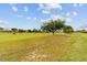 Expansive view of the lush golf course with mature trees dotting the landscape at 6868 Sw 95Th Cir, Ocala, FL 34481
