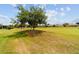 Scenic view of the golf course featuring rolling green hills and mature trees at 6868 Sw 95Th Cir, Ocala, FL 34481