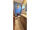 Well-maintained bathroom with blue walls, vanity, and white fixtures at 8244 Sw 106Th Pl, Ocala, FL 34481