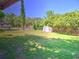 Spacious backyard with lush lawn and a storage shed, providing ample outdoor space at 834 Ne 10Th Ave, Ocala, FL 34470