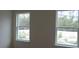 This bedroom features two windows that let in ample natural light, creating a bright and airy atmosphere at 2438 Sw 165Th Street Rd, Ocala, FL 34473