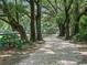 Tree-lined driveway creates a shaded path leading to a sprawling property, offering a sense of privacy and seclusion at 2540 Ne 120Th St, Anthony, FL 32617