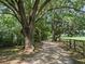 Scenic driveway lined with mature trees and a wooden fence, creating a tranquil and inviting entrance at 2540 Ne 120Th St, Anthony, FL 32617