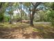 Spacious backyard featuring mature trees, a shed, and a partially fenced-in yard at 4010 Sw 7Th Avenue Rd, Ocala, FL 34471