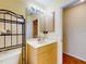 Bathroom featuring a vanity, mirror, and decorative rack at 9325 Sw 125Th Court Rd, Dunnellon, FL 34432