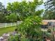 Inviting garden area showcasing a lush tree and white perimeter fence at 9325 Sw 125Th Court Rd, Dunnellon, FL 34432