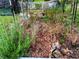Backyard garden space with an array of plants adds natural beauty to the property at 9325 Sw 125Th Court Rd, Dunnellon, FL 34432