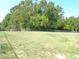 Large fenced backyard is grass covered and backed by dense trees at 9430 Sw 102Nd Pl, Ocala, FL 34481