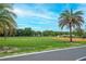 Community baseball field with vibrant green grass, a well-maintained infield, and palm trees under a clear blue sky at 9667 Sw 94Th Ct # C, Ocala, FL 34481