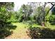 Lush green backyard with mature trees and landscaping providing privacy at 15324 Sw 28Th Avenue Rd, Ocala, FL 34473