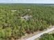 High aerial view of the home surrounded by dense forestry at 22189 Sw Neptune Blvd, Dunnellon, FL 34431