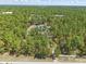 Aerial view of the home with a driveway surrounded by lush greenery at 22189 Sw Neptune Blvd, Dunnellon, FL 34431