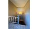 Carpeted stairs with white railing leading to the lower level, illuminated by overhead lighting at 2701 Ne 10Th St # 403, Ocala, FL 34470