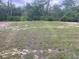 A view of the spacious backyard at 3338 Sw 165Th Loop, Ocala, FL 34473