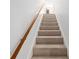 Carpeted staircase with wooden handrail leading to the upper level of the home at 3815 Ne 17Th Street Cir, Ocala, FL 34470