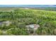 An aerial view of the home shows its location among the trees on this quiet street at 505 Fisher Rd, Ocklawaha, FL 32179