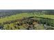 Expansive parcel of land featuring lush greenery, scattered trees, and defined property lines, presenting vast development potential at 10528 Sw 27Th Ave, Ocala, FL 34476