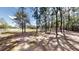 Landscaping featuring tall trees creating a serene and shaded environment with a white fence in the background at 10528 Sw 27Th Ave, Ocala, FL 34476