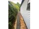 Side yard with walkway between houses at 1408 Torrey Pines Dr, Lady Lake, FL 32159