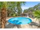 Sparkling pool surrounded by palm trees, covered patio, and a relaxing backyard setup at 6060 Se 119Th Pl, Belleview, FL 34420