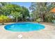 Inviting in-ground pool surrounded by lush landscaping, wooden fence, and mature trees offering a private outdoor oasis at 6060 Se 119Th Pl, Belleview, FL 34420