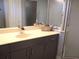 Bathroom features a stylish vanity with vessel sink and framed mirror over dark wood cabinets at 13762 Sw 112Th Ter, Dunnellon, FL 34432