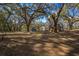 View of a spacious backyard featuring mature trees and outbuildings for ample storage at 3299 County Road 521, Wildwood, FL 34785