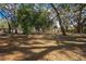 Expansive backyard with a mix of mature shade trees and greenery, perfect for a tranquil retreat at 3299 County Road 521, Wildwood, FL 34785