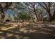 Spacious backyard with mature trees, open lawn, and seating area; perfect for outdoor living at 3299 County Road 521, Wildwood, FL 34785