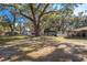 Expansive backyard featuring mature trees, sheds, and plenty of room for outdoor enjoyment at 3299 County Road 521, Wildwood, FL 34785