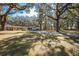 Inviting home exterior with large trees, a carport, and a spacious front yard at 3299 County Road 521, Wildwood, FL 34785