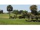 Lush golf course featuring palm trees, and manicured landscaping at 5391 Nw 19Th Pl, Ocala, FL 34482