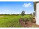 Beautiful, spacious backyard view of the neighborhood, lush green lawn, and simple landscaping at 8816 Sw 69Th Place Rd, Ocala, FL 34481