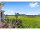 Beautiful backyard with lush green lawn and view of the community at 8816 Sw 69Th Place Rd, Ocala, FL 34481