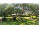 Landscaped front yard showing the well-maintained lawn and mature trees shading this beautiful single story home at 8940 Sw 8Th St, Ocala, FL 34481