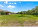 Expansive, grassy backyard offering ample space and privacy surrounded by lush trees and greenery at 10313 Sw 45Th Ave, Ocala, FL 34476