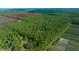Vast acreage with dense trees surrounding a home, as seen from above, offering privacy and seclusion at 11521 Se 1St Street Rd, Silver Springs, FL 34488