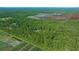 Expansive wooded lot with a single-Gathering home, providing a private oasis surrounded by mature trees and nature at 11521 Se 1St Street Rd, Silver Springs, FL 34488