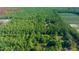 Aerial view of the densely wooded lot surrounding a charming home, offering privacy and a serene setting at 11521 Se 1St Street Rd, Silver Springs, FL 34488