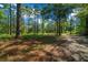 Beautiful view of the property showing trees and lush greenery at 11521 Se 1St Street Rd, Silver Springs, FL 34488