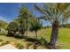 The home's manicured backyard features lush landscaping, privacy, and a screened lanai at 1377 Sw 161St Pl, Ocala, FL 34473
