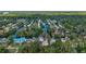 Aerial view of canal front homes in a wooded neighborhood at 24628 Fox Rd, Astor, FL 32102