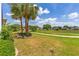 Well-maintained lawn with beautiful landscaping and mature palm trees at 9663 Sw 92Nd Place Rd, Ocala, FL 34481