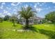 A lush green backyard with a sparkling pool and screened-in lanai, perfect for outdoor entertaining and relaxation at 11140 Sw 53Rd Cir, Ocala, FL 34476