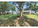 Lush backyard with mature trees and manicured landscaping with a defined mulch area at 15917 Hidden Lake Cir, Clermont, FL 34711