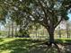 Spacious backyard featuring lush green grass and mature trees overlooking a serene lake at 15917 Hidden Lake Cir, Clermont, FL 34711