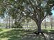 Spacious backyard featuring lush green grass and mature trees overlooking a serene lake at 15917 Hidden Lake Cir, Clermont, FL 34711